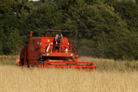 Poland 2008