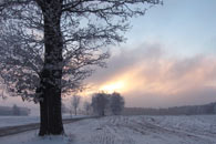 Czech lands